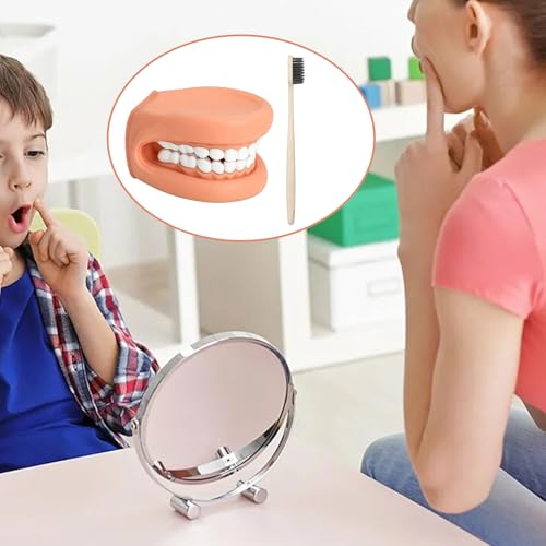 Dental Model Teeth Model, Tooth Mouth Model with Toothbrush, Mouth Hand Puppet with Tongue for Children, Mouth Puppet for Speech Therapy, Demonstration Anatomical Tooth Model for Dental