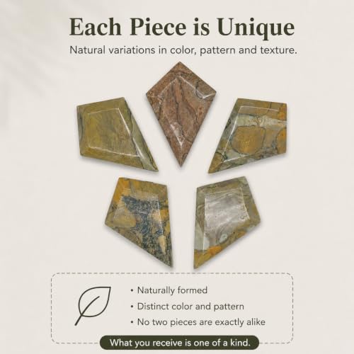 Crystal Healing Nature stromatolite Fossil Gemstone, 1.8 Billion Year Old Natural Algae Ancient Stone, Diamond-Shaped Stromatolite Fossil for Professional Desk Decor and Reiki Meditation. Rhombus