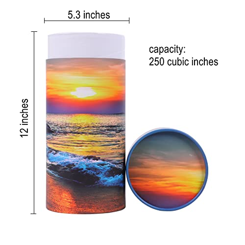 Ocean Sunset Scattering Urn – Biodegradable Scatter Tube for Ashes - Cremation Urn for Adult Ashes (Large) Large (1 Count)