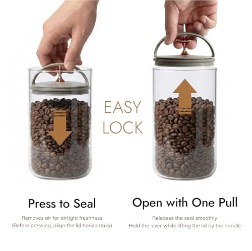Carrotez Ecozen vacuum-sealed coffee bean container in black, 6.3 cups capacity, preserves freshness of coffee beans.