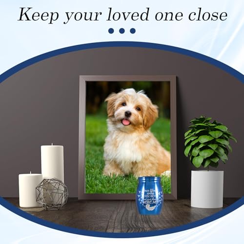 Small Urns for Human Ashes, Animals, Hair,perfume