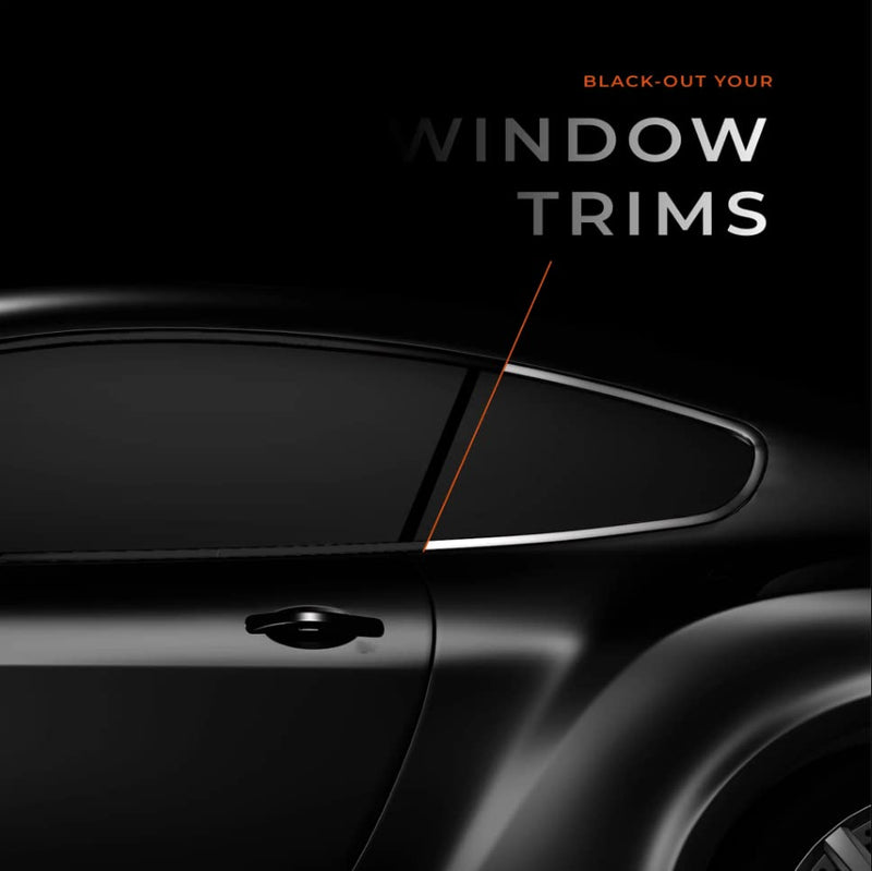 VViViD Automotive Vinyl Wrap 2 Tape Rolls of 1" x 20ft (Gloss Black and Chameleon Carbon Fiber) Pinstripe Bundle - M0
