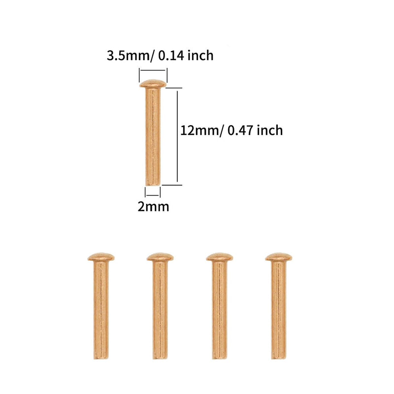 [Australia - AusPower] - 100 Pieces Round Head Solid Rivets Fasteners Copper Rivets (M2x12) M2x12 