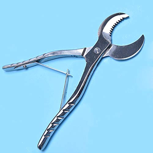 [Australia - AusPower] - Stainless Steel Dental Pliers Plaster Nippers Cutter Dentist Lab Equipment, Cow Horn Jaws, Serrated Blade, Spring Action by Hbmol (Small) 