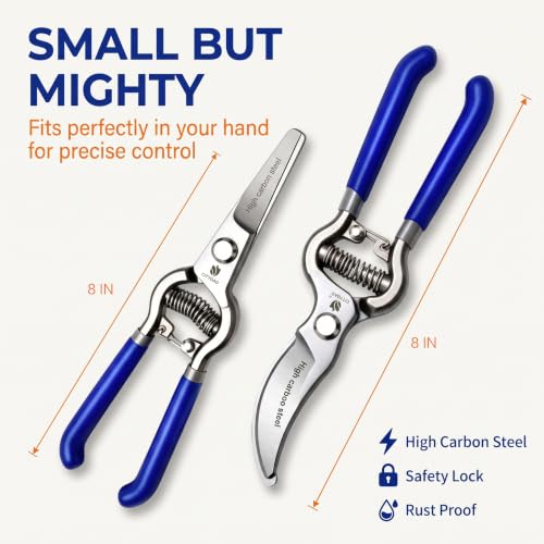 Citygad two-pack 8-inch pruning shears with high-carbon steel blades and ergonomic blue handles