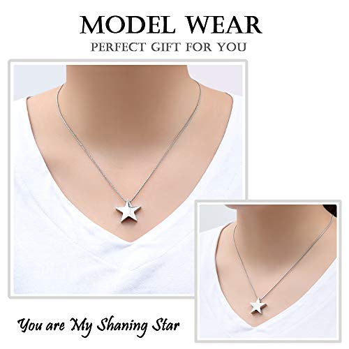 zeqingjw Star Shape Urn Necklace for Ashes Stainless Steel Urn Pendant Cremation Jewelry for Ashes Memory Keepsake Gifts Jewelry for Women Men Silver Star