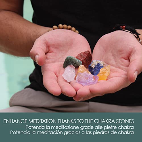 Lynpha Vitale - 7 Chakra Stones - Healing Stones for Crystal Therapy - Anxiety Relief - Seven Natural, Pure Healing Crystals for Protection