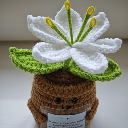 Christian Gifts for Women，Crochet Prayer Lily Flower Decor