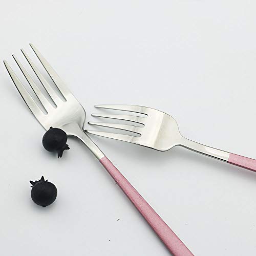 JASHII 20-Piece SUS304 Stainless Steel Flatware Set, Mirror Polishing Dinnerware Set Service for 4, Knife/Fork/Spoon/Dessert Spoon/Dessert Fork (Pink silver) Pink silver