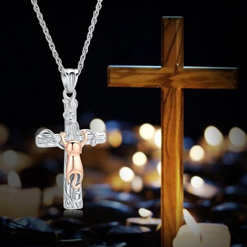 Cross Urn Necklace for Ashes Cross Necklace Pendant Cat Cremation Jewelry Stainless Steel Christians Memorial Keepsake Pet Urn Ash Pendant Ashes Necklace for Men Rose-Gold