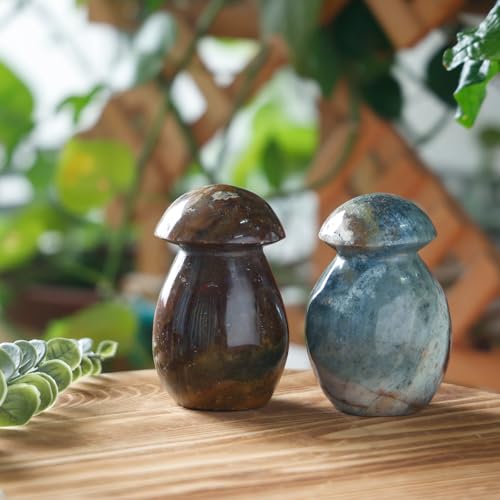 Mushroom Stones for Home Garden Decor, Natural Ocean Jasper Stone 1.1-1.32lb(501g-600g)
