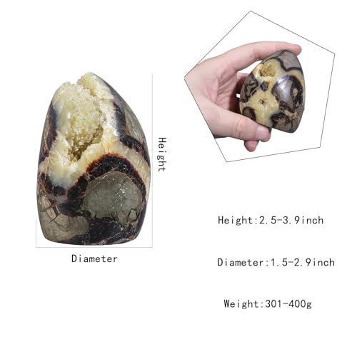 Natural Septarian Dragon Stone Geode Healing Crystal Geode Decor 0.66-0.88lb(301g-400g)