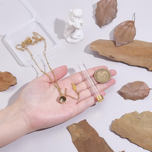 PH PandaHall Urn Necklace Ashes Holder Necklace 304 Stainless Steel Creamation Necklaces Clear Glass Tube Vial Necklaces Urns Locket Pendant with Wing Pendants for Keepsake Memorial Jewelry Making