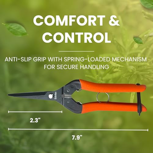 forest Originals Saboten 7.9-inch Japanese harvesting shears with straight stainless steel blade and ergonomic grip