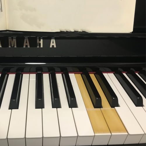 Piano Key Top Piano Accessories The White Keyboard Top Does Not Require Sanding For Easy Installation Of The Piano Key Replacement