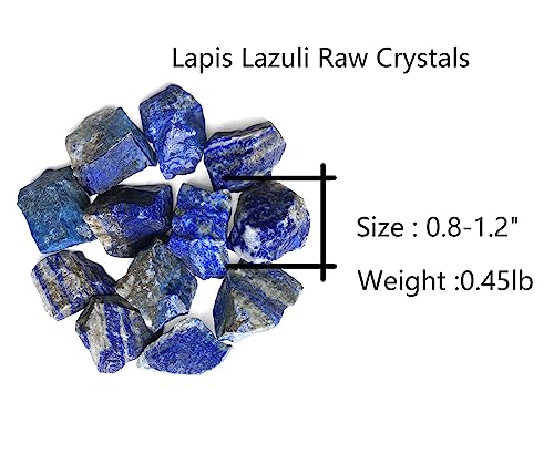 QINJIEJIE Natural Lapis Lazuli Raw Crystals Rough Stones Bulk Gemstones Blue - Lapis Lazuli 0.45 Pound