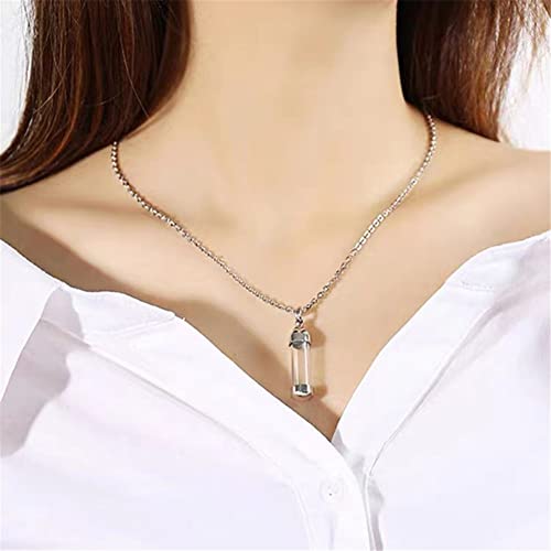 Blood Vial Necklace Stainless Steel Glass Cremation Urn Pendant Necklace for Women Keepsake Memorial Jewelry Gold