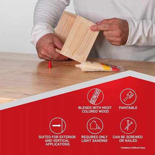 Le Page 90mL tinted light oak wood filler container paidbah
