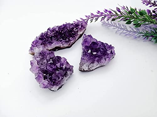 Raw Amethyst Clusters 10Pcs Real Natural Amethyst Crystals Geode Deep Purple Gemstones Bulk Healing Stones Meditation Home Decoration（30g-40g/pcs） Grade B-Deep purple