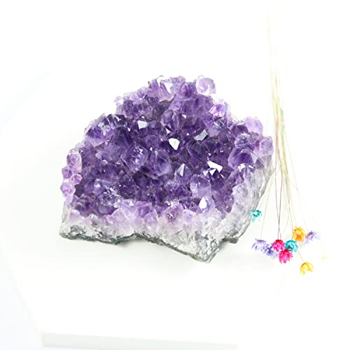 Amethyst Crystals, Amethyst Cluster, Amathesis, Healing Stones(0.2Lb) Purple 0.2 Pound