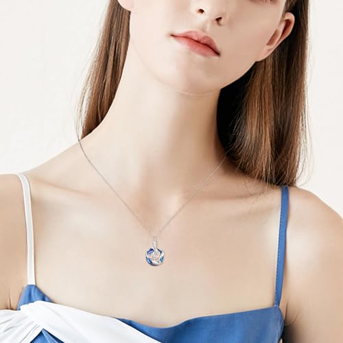 KINGWHYTE Dolphin Urn Necklace 925 Sterling Silver Crystal Ashes Necklace Urn Necklace for Ashes Crystal Cremation Keepsake Jewellery Ash Dolphin Gifts for Women Girls