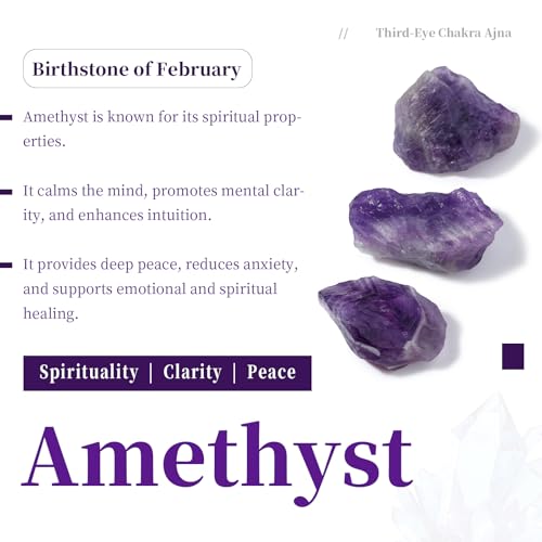 SUNYIK Natural Amethyst Tumbled Chips Stones with Third Eye Chakra Pillow #5-purple/Purple