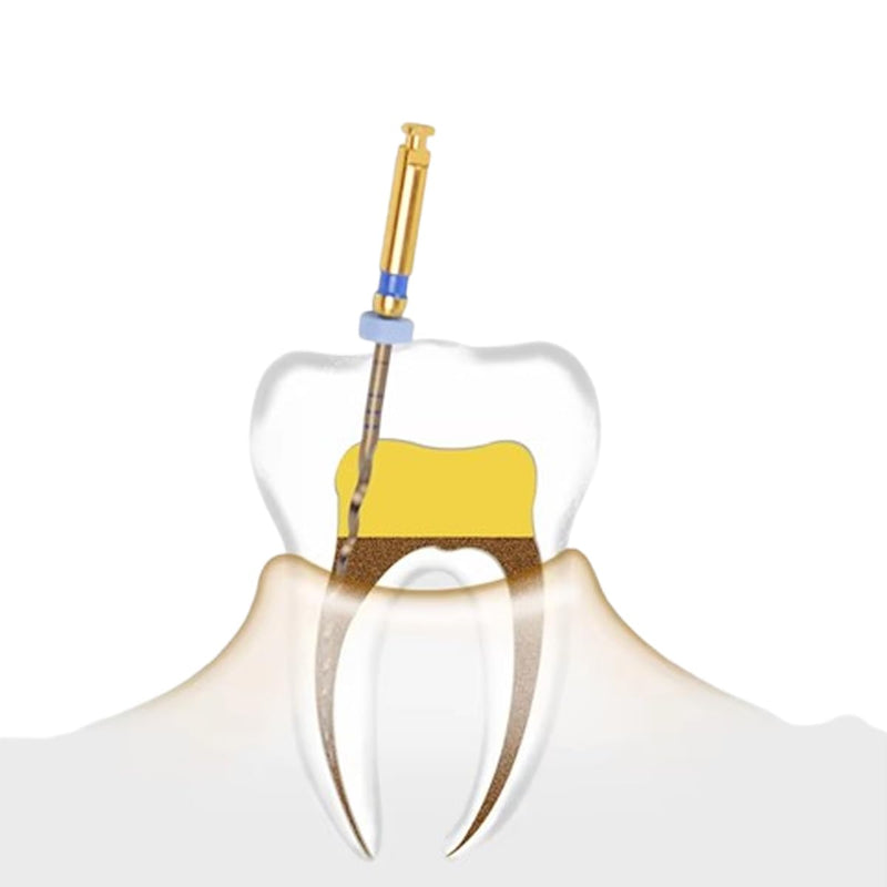 [Australia - AusPower] - Dental Endo Rotary File X-Pro Gold Taper 12PCS Niti Endodontic Root Canal Files (2Packs 25MM Assort) 2Packs 25MM Assort 