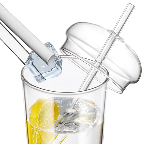 UPKOCH 2 Pcs Glass Cups with Lids and Straws Coffee Tumblers Heat Resistant Milk Cup Clear Drinking Glasses for Bubble Tea Smoothie Coke Soda Home Office Bar 2PCS