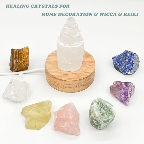 Erliway 1 Pc 0.15-0.22 lb Lapis Lazuli Raw Crystal Stone for Tumbling 2-3''