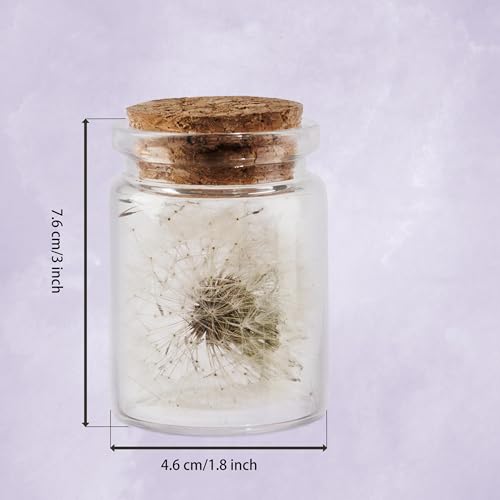Shirene Real Dandelion In A Glass, Dandelion Gift Handmade Spiritual Gifts For Women, Girlfriend, Birthday, Mother's Day, Mum, Kids, Best Friend