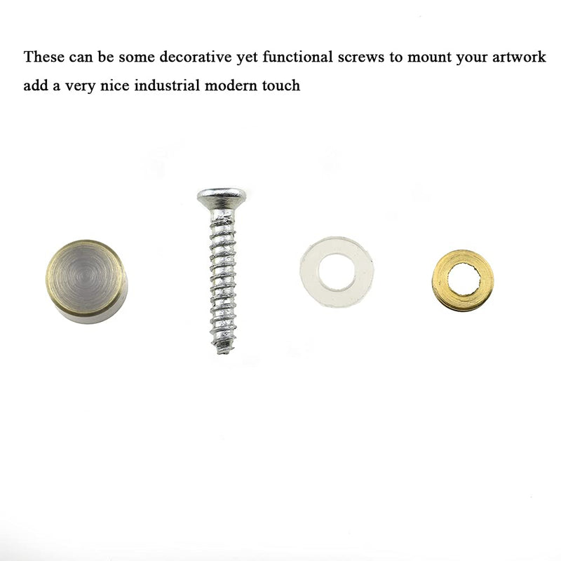 [Australia - AusPower] - Hahiyo 10mm Diameter Mirror Screws Brushed Copper Material Solid Easy Install Brass Washer Decorative Caps Fasteners Nails Bronze 10 Pairs for Bathroom Mirrors Panels Kitchen Ceiling Arts Crafts 10mm-10sets-Bronze 