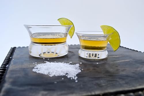 Oaxaca Glasses - Copita Shot Glass, Set of 4, Clear Glass