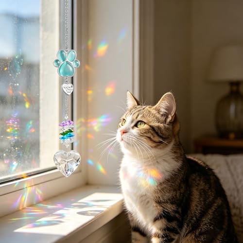 Dletay Pet Urns for Dogs Cat Ashes Crystal Suncatcher Heart Shaped Memorial Cremation Keepsake Bereavement Remembrance Paw Print Pet Loss Rainbow Bridge Paw-Sun