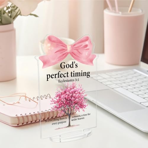 Pink Desk Accessories - Religious Gifts for Women - Ecclesiastes 3:1 Bible Verse Acrylic Desk Sign for Home Office M58A13