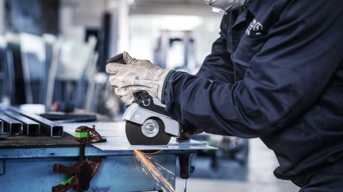 Bosch Professional 10x Trennscheibe Gerade Standard for Inox - Rapido (Rostfreier Stahl, WA 60 T BF, Ø 125 mm, 1.0 mm, Zubehör Winkelchleifer)