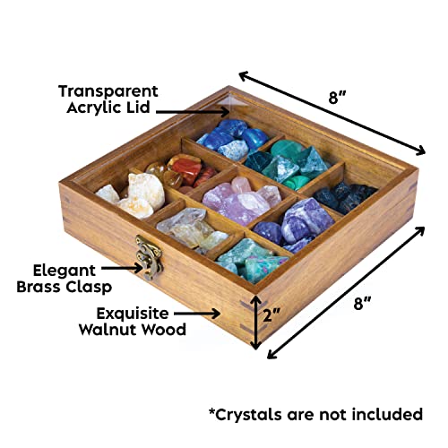 Rock Display Case - 8" x 8" Rock Collection Box for Kids & Adults - Crystal Holder for Stones Display Shelf with 9 Compartments & Acrylic Lid - Gemstone & Crystal Storage Box Organizer