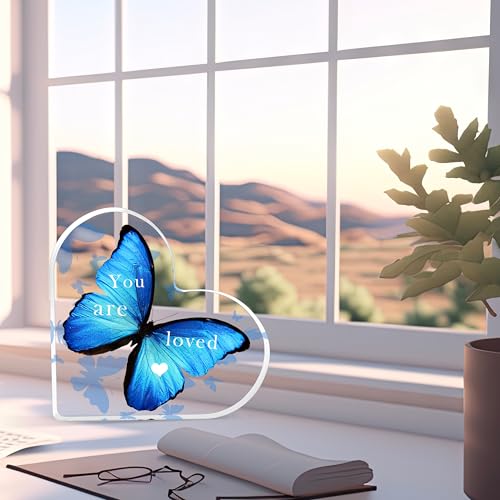 Butterfly Gifts for Women Butterflies Inspirational Desk Decor Acrylic Heart Shaped Keepsake Tables Centerpiece Appreciation Gift Best Birthday Christmas Gifts Idea Thank You Gift You Are Loved Gifts You Are Loved-Right