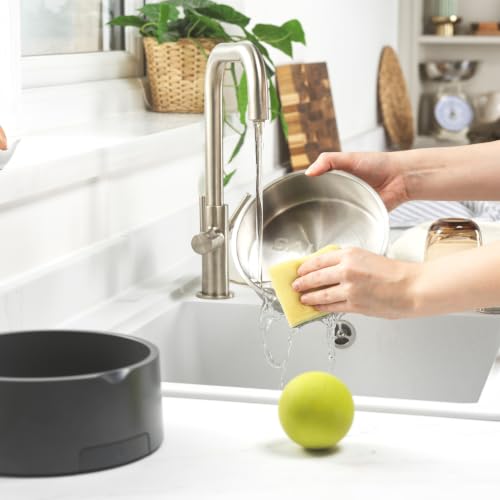 Salter Digital Pet Food Scale 5 Kg With Bowl