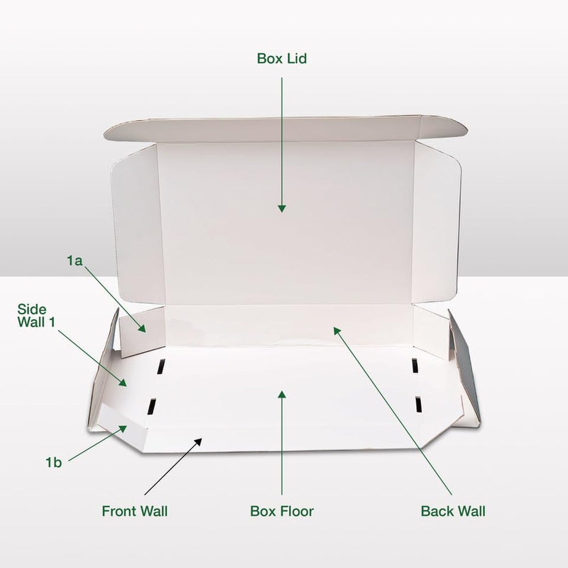 [Australia - AusPower] - Insect Pinning Box for Entomology | 13" x 9" x 2.5" | Includes White Foam to Hold Pins in Place | for Butterfly, Moth and Bug Collections and Specimen Displays 1 