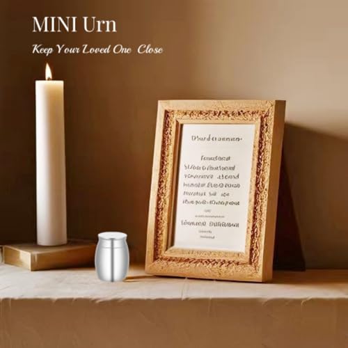 NA Small Keepsake Urns Stainless Steel Mini Waterproof Memorial Cremation Container Jar for Memorial Human Pet Ashes… (A Silver) A Silver