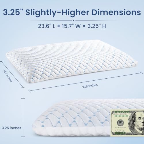 3.25" Ultra Thin Memory Foam Pillow with Cool-to-Touch Cover, Low Profile Flat Bed Pillow for Back & Stomach Sleepers, Standard Size 3.25'' Low Profile - Low+