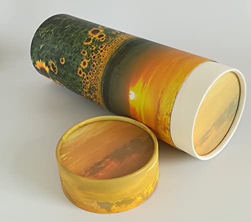 Sunflower Scatter Tubes for Adult Ashes – Biodegradable Cardboard Cremation Urns (Large) L