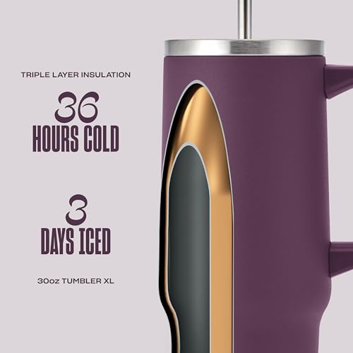 S'well Recycled Stainless Steel Tumbler XL with Straw and Handle, 30oz, Plum, Triple Layered Vacuum Insulated Container Keeps Drinks Cold 36 hours and Hot for 9, BPA Free