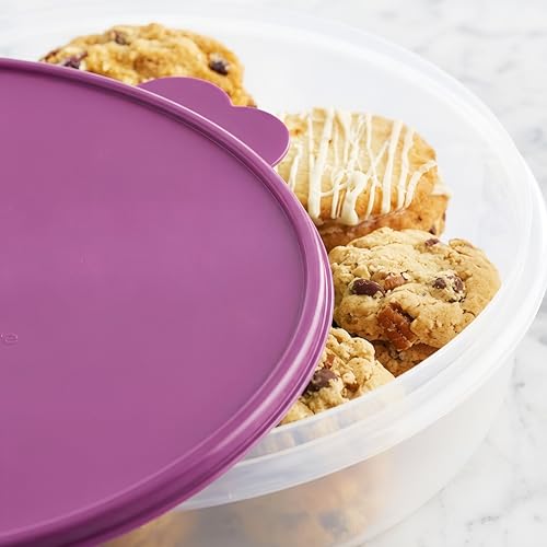 Tupperware 12" Round Container with Seal (Raddish)