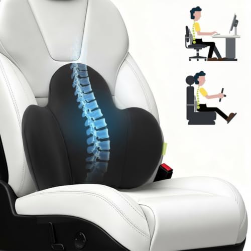 Lumbar Support Pillow for Office Chair, Gaming Chair, Car Driver Seat Back Cushion, Bed & Couch, Gifts for Friends and Parents,Ergonomic Back Support Pillow with Comfortable Memory Foam(Black)