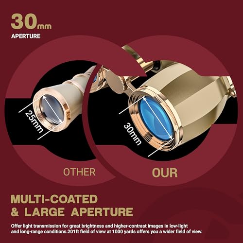 ESSLNB Opera Glasses Binoculars for Women Adults 4X30mm Theater Glasses Compact Binoculars for Theater and Concerts Antique with Case Removable Chain (Gold) Gold