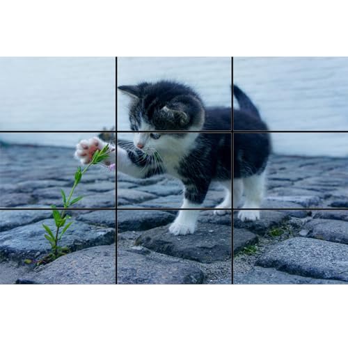 Golden Ratio, Fibonacci & Rule of Thirds Composition Tool Credit Card-Sized View Finder/Viewer for Photography, Painting, Drawing - Fits in Wallet or Camera Bag