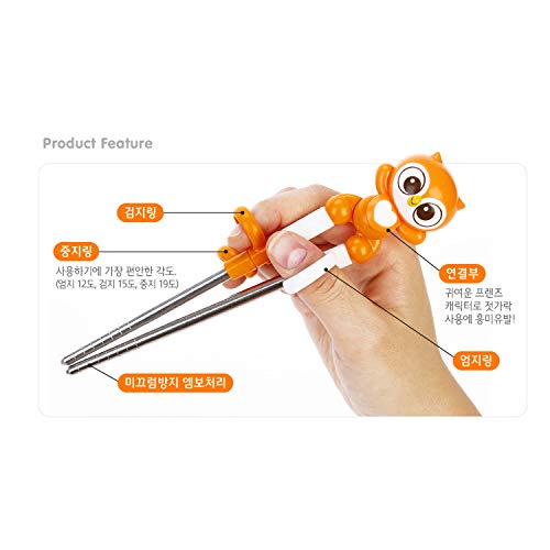 Lion Stainless Steel Chopsticks, Spoon, Fork and Case 4 Set, Chopsticks Training, Beginner, Brain Training, Right Handed (Lion, Hion), Made in Korea.