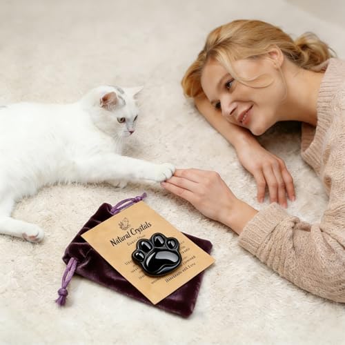AITELEI Obsidian Cat Paw Crystals and Healing Stones, Natural Stone for Anxiety Relief, Worry Stones for Stress Relief, Unique Crystal Figurines Gift for Crystal Cat Lovers Women Men (Obsidian)