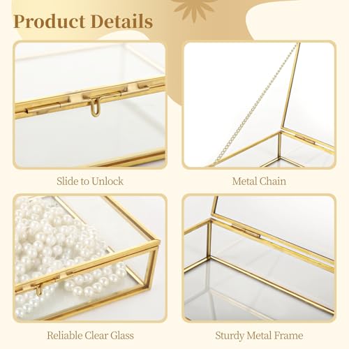Golden Glass Jewelry Organizer, Large Rectangular Clear Jewelry Box, 8.7 x 5.3 x 1.8 Inches Vintage Keepsake Display, Lidded Shadow Container for Trinkets, Photos, Cards